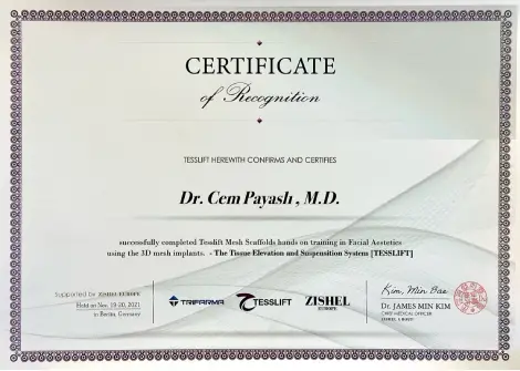 TESSLIFT — Certificate of Recognition